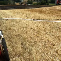 2023-07-04-Brand-Feld.JPG